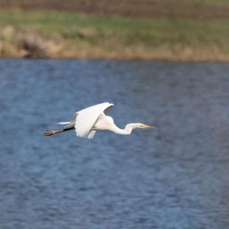 Nature Center Udoli Volavek II Weseritz Buitenkant foto